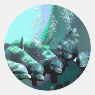 Lächelnde Delphine Runder Aufkleber
