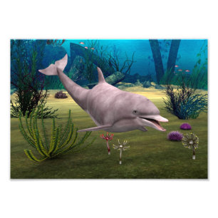 Lächelnde Dolphin Fotodruck