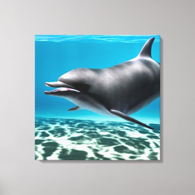 Lächelnde Dolphin Leinwanddruck (Vorderseite)
