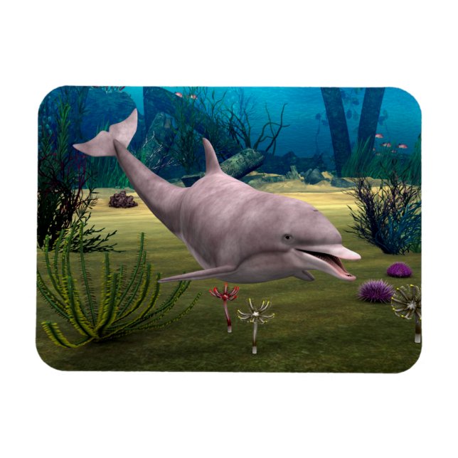 Lächelnde Dolphin Magnet (Horizontal)