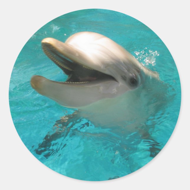 Lächelnde Dolphin Runder Aufkleber (Vorderseite)