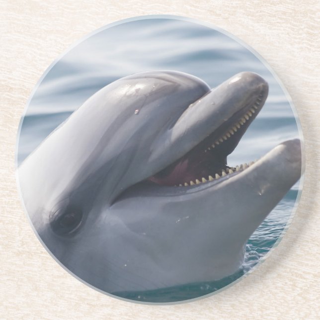 Lächelnde Dolphin Sandstein Untersetzer (Vorne)