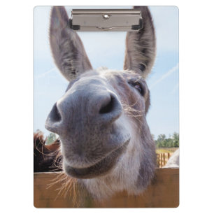 Lächelnde Donkey-Zwischenablage Klemmbrett