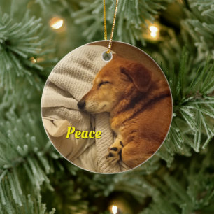 Lächelnde Hunde Keramik Ornament