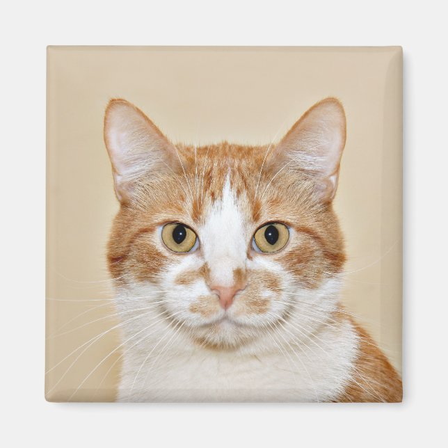 lächelnde Katze Magnet (Vorne)