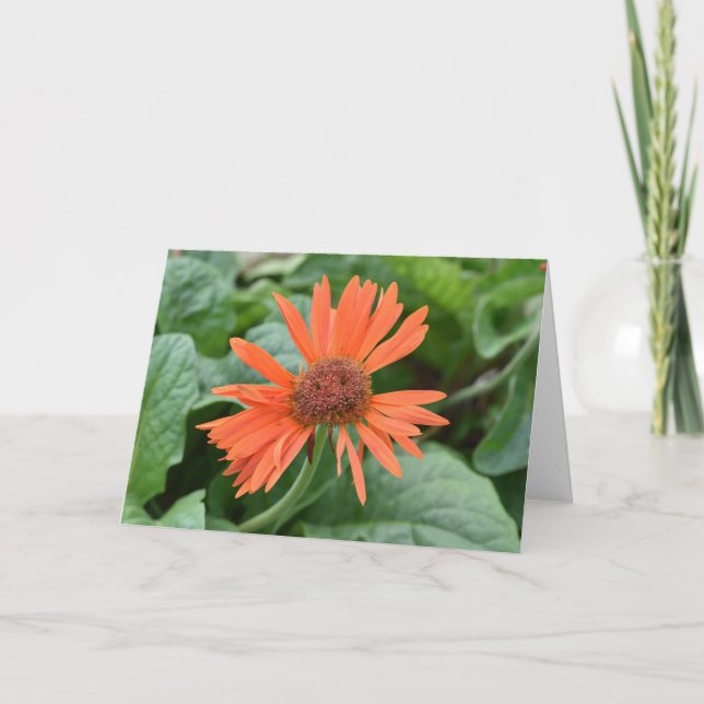 Lächelnde Notecards der Blume (Leerseite innen) Karte (Vorderseite)