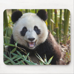Lächelnde Panda-Porträt Mousepad