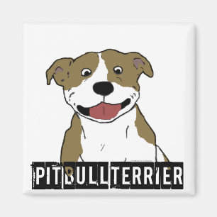 Lächelnde Pitbull (TAN- und Weißgerade Zuchtname Magnet