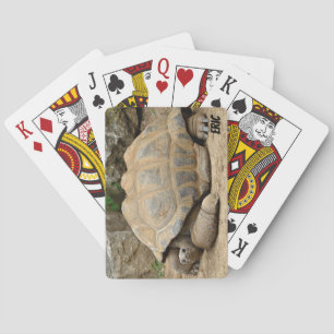 Lächelnde Schildkröte Spielkarten