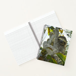 Lächelnde Sloth 8.5" x 11" Spiral Notebook Notizbuch