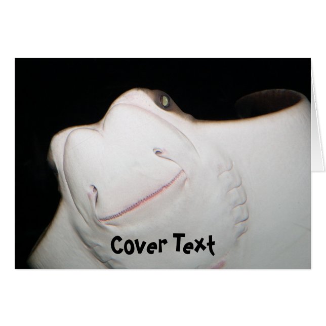 Lächelnde Strahln-Karte (Vorderseite (Horizontal))