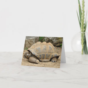 Lächelnde Tortoise Dankeskarte