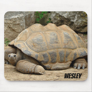 Lächelnde Tortoise Mousepad