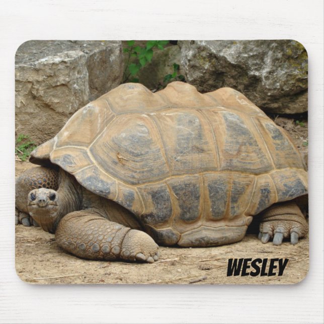 Lächelnde Tortoise  Mousepad (Vorne)