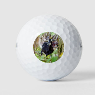 lächelnde Ziege Golfball