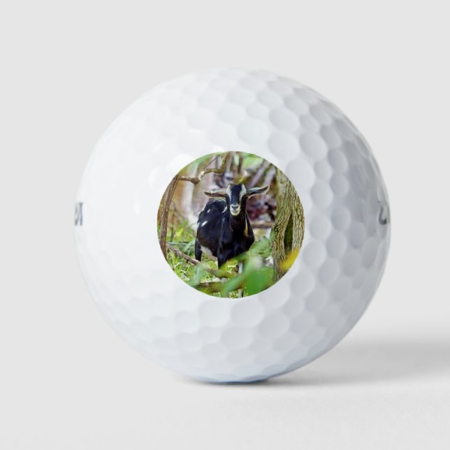 lächelnde Ziege Golfball (Vorderseite)