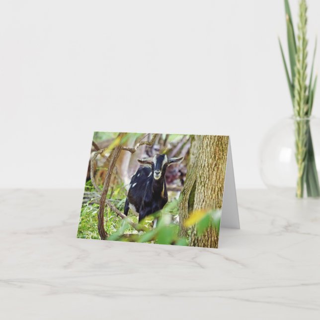 lächelnde Ziege Karte (Vorderseite)