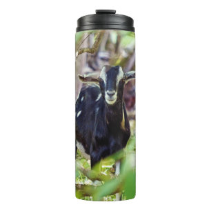 lächelnde Ziege Thermosbecher