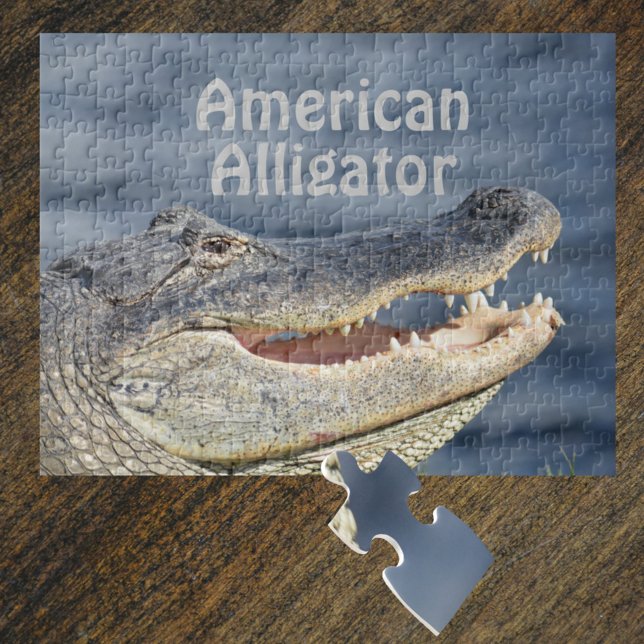 Lächelnder amerikanischer Alligator (Von Creator hochgeladen)