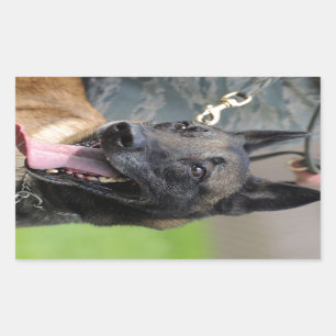 Lächelnder Belgier Malinois Hund Rechteckiger Aufkleber