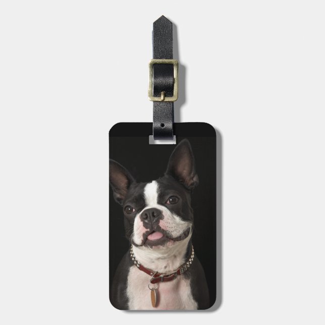 Lächelnder Boston-Terrier mit Kragen Gepäckanhänger (Vorderseite vertikal)
