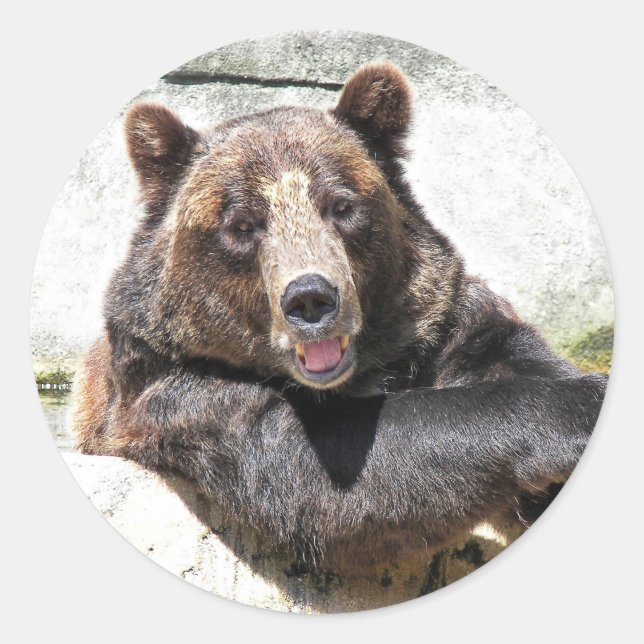 Lächelnder brauner Bär Runder Aufkleber (Vorderseite)