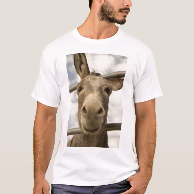 Lächelnder Burro-T - Shirt (Vorderseite)