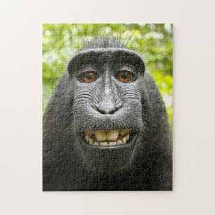 Lächelnder CelebesMacaque