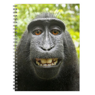 Lächelnder CelebesMacaque mit Haube Notizblock