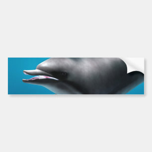 Lächelnder Delfin Autoaufkleber