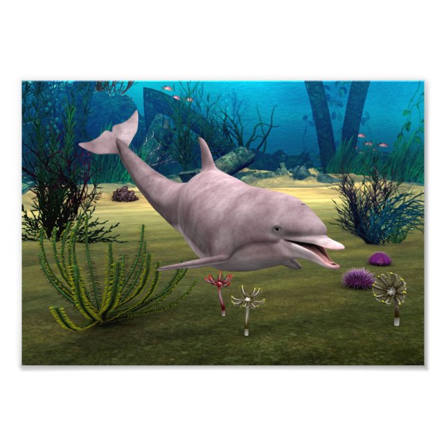 Lächelnder Delfin Fotodruck (Vorne)