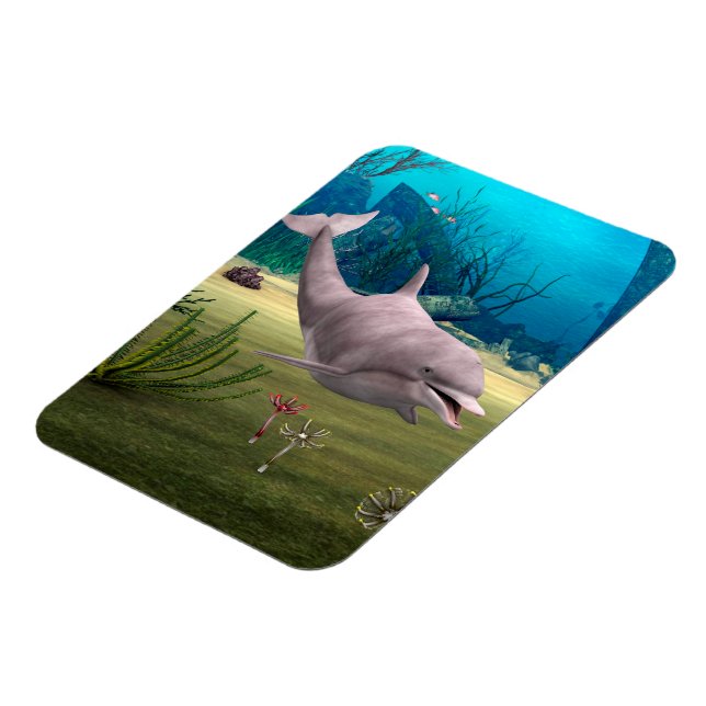 Lächelnder Delfin Magnet (Linke Seite)