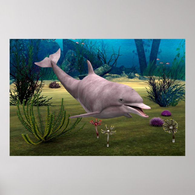 Lächelnder Delfin Poster (Vorne)