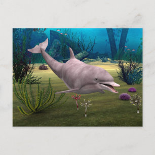 Lächelnder Delfin Postkarte