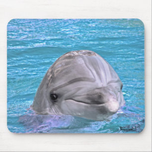 Lächelnder Delphin Mousepad