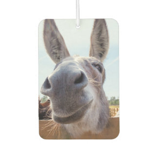 lächelnder Donkey Autolufterfrischer