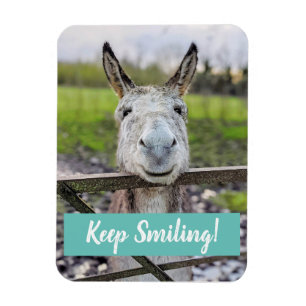 Lächelnder Donkey "Behalt Lächeln" Magnet