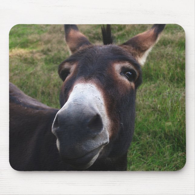 Lächelnder Esel Mousepad (Vorne)