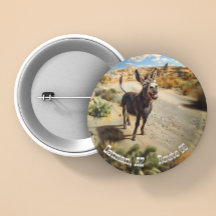 Lächelnder Esel, Oatman Arizona, Route 66