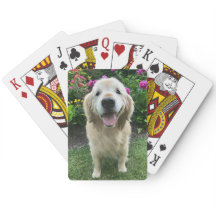 Lächelnder Golden Retriever Hund mit Hübschen Blum