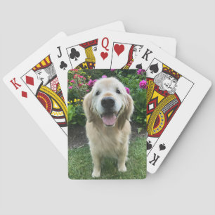 Lächelnder Golden Retriever Hund mit Hübschen Blum Spielkarten