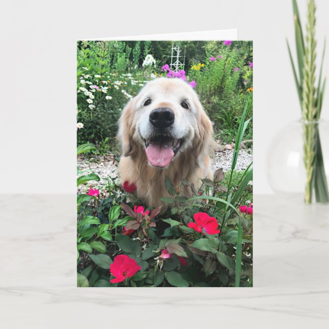 Lächelnder Golden Retriever Hund unter Blume Leere Karte (Vorderseite)