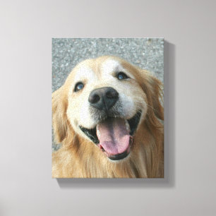 Lächelnder goldener Retriever wickelte Leinwanddruck