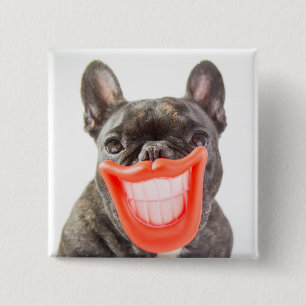 Lächelnder Hund Getty Bild-  A Button