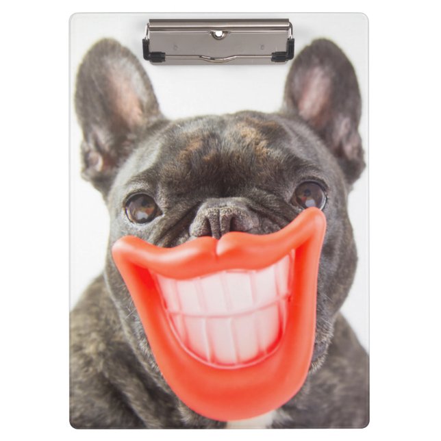 Lächelnder Hund Getty Bild-| A Klemmbrett (Vorderseite)