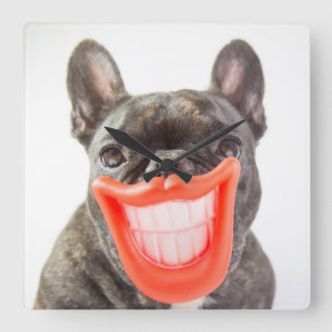 Lächelnder Hund Getty Bild-  A Quadratische Wanduhr