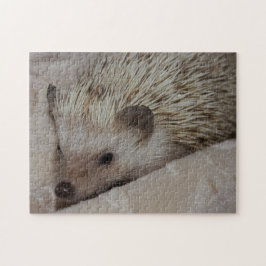 Lächelnder Igel