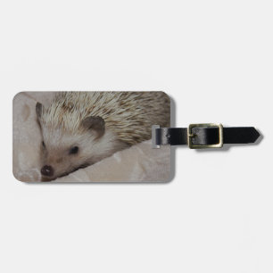 Lächelnder Igel Gepäckanhänger