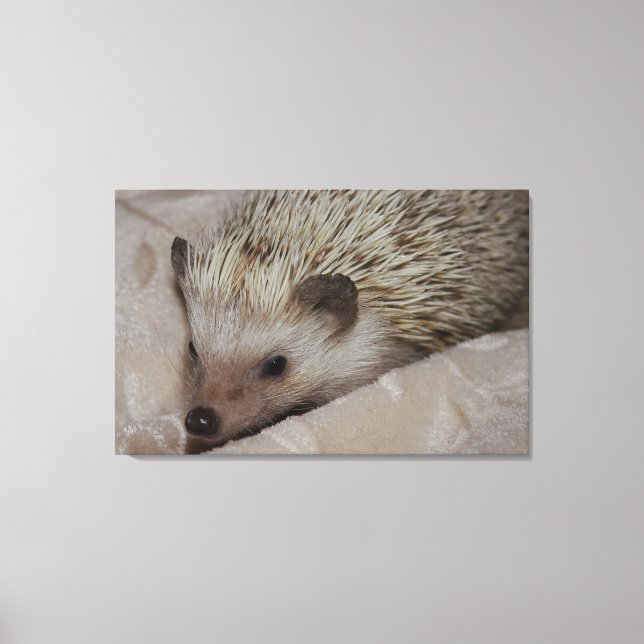 Lächelnder Igel Leinwanddruck (Vorderseite)