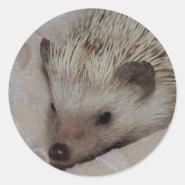 Lächelnder Igel Runder Aufkleber